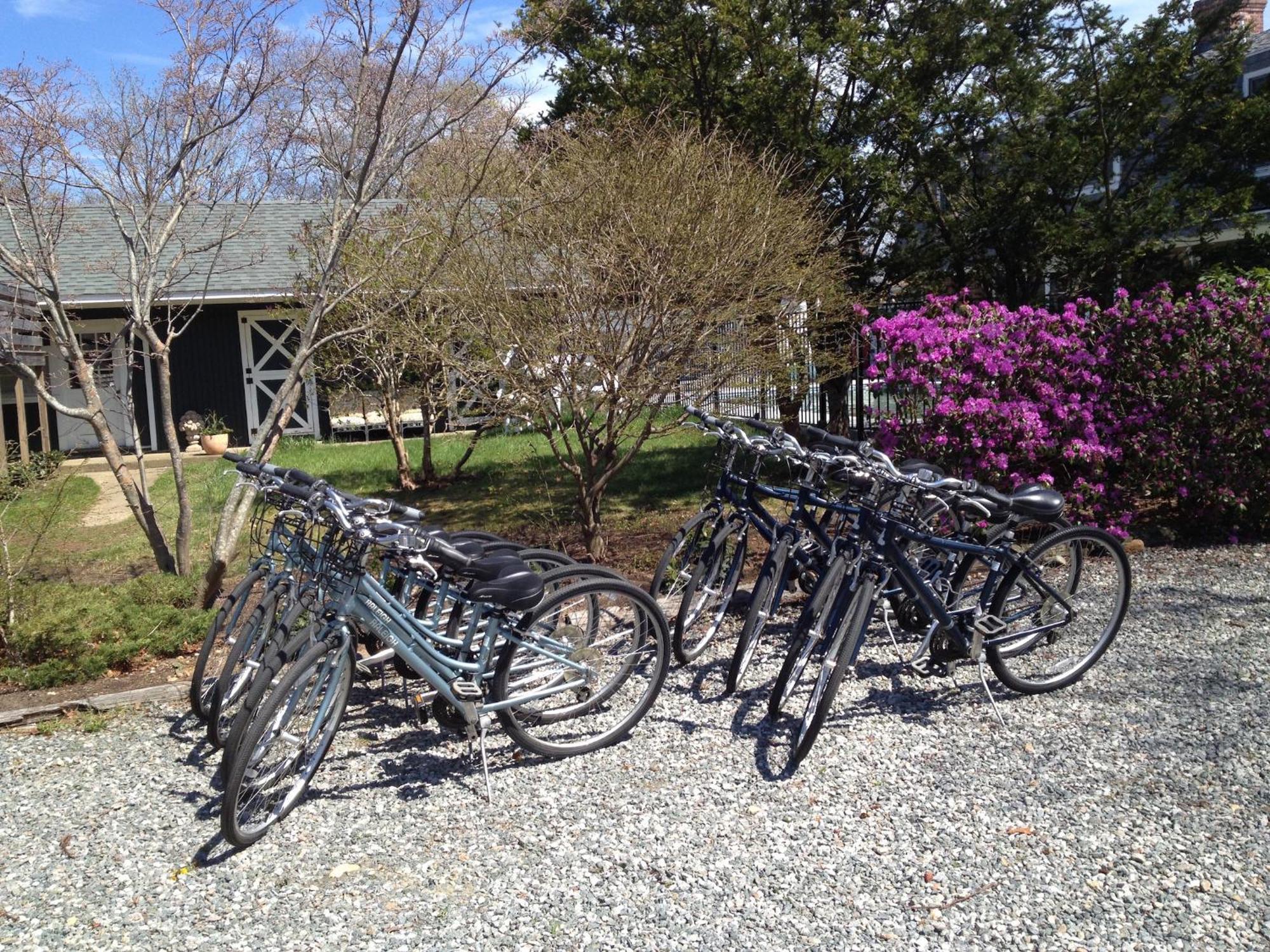 Charles And Charles Mv Bed & Breakfast Vineyard Haven Exterior foto